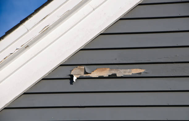 Best Construction Debris Removal  in Elizabeth City, NC