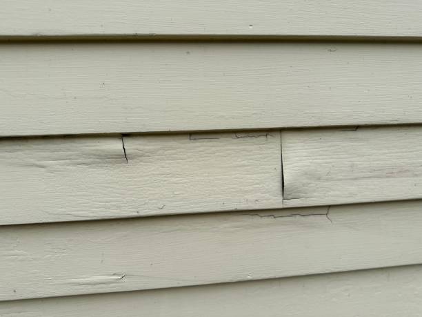Best Shed Removal  in Elizabeth City, NC